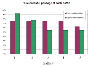 TDF_Year3_BafflePassage